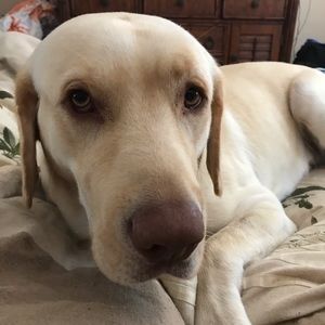 Meet your Posher, Didiane